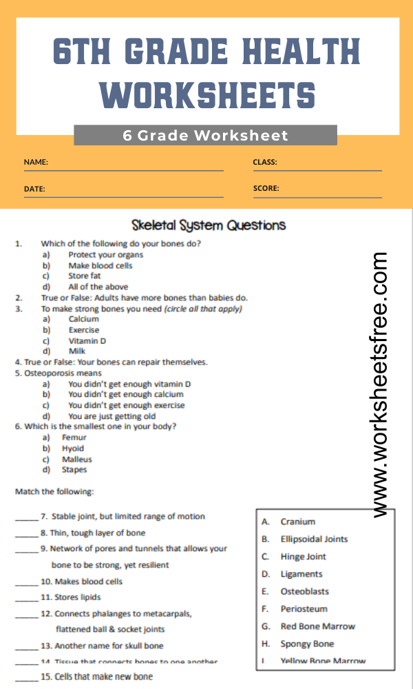 worksheets of health diet for grade 3 worksheets of health diet for