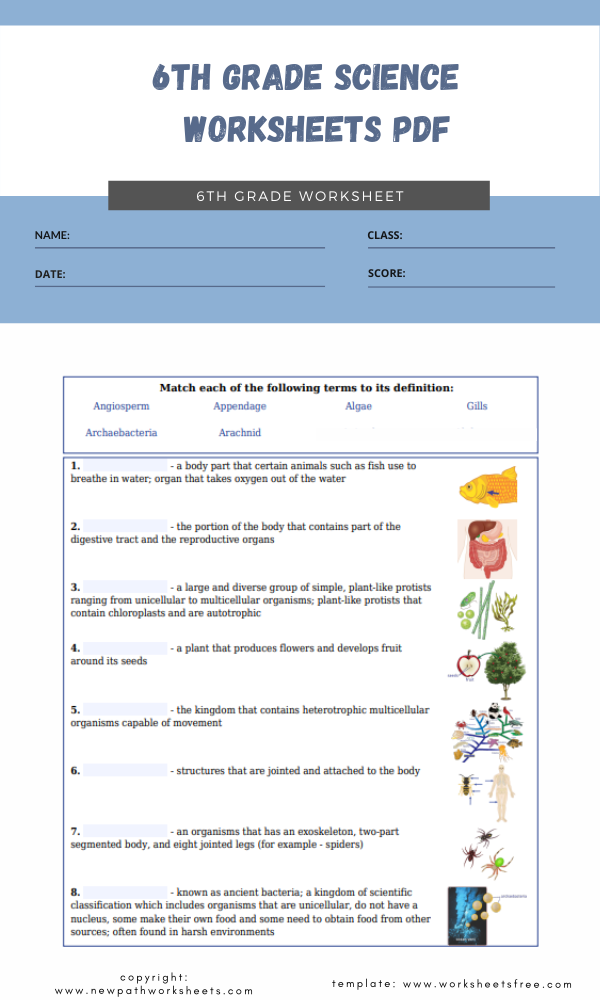 6th Grade Science Worksheets Pdf Worksheets Free