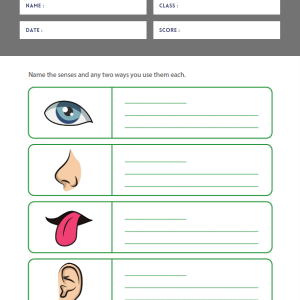 First Grade Teacher Worksheets in 2024 | Worksheets Free