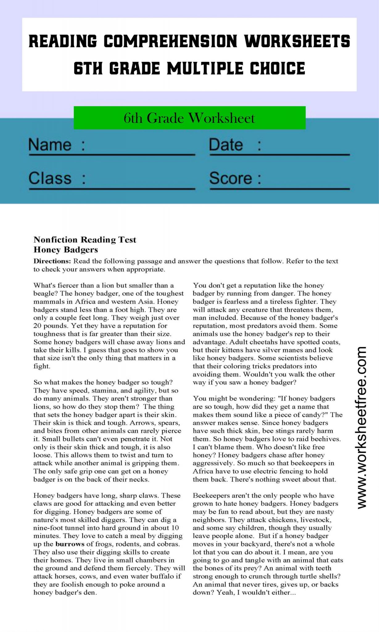 Reading Comprehension Worksheets 6th Grade Multiple Choice Pdf